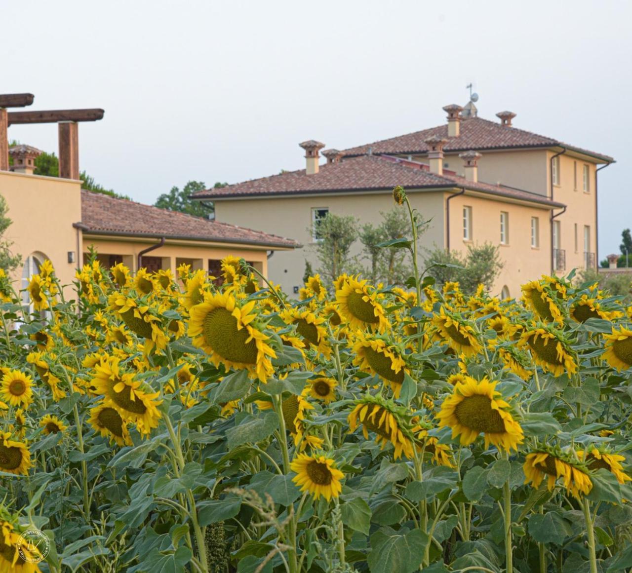 Agriturismo Villa Toscana Кампилья-Мариттима Экстерьер фото