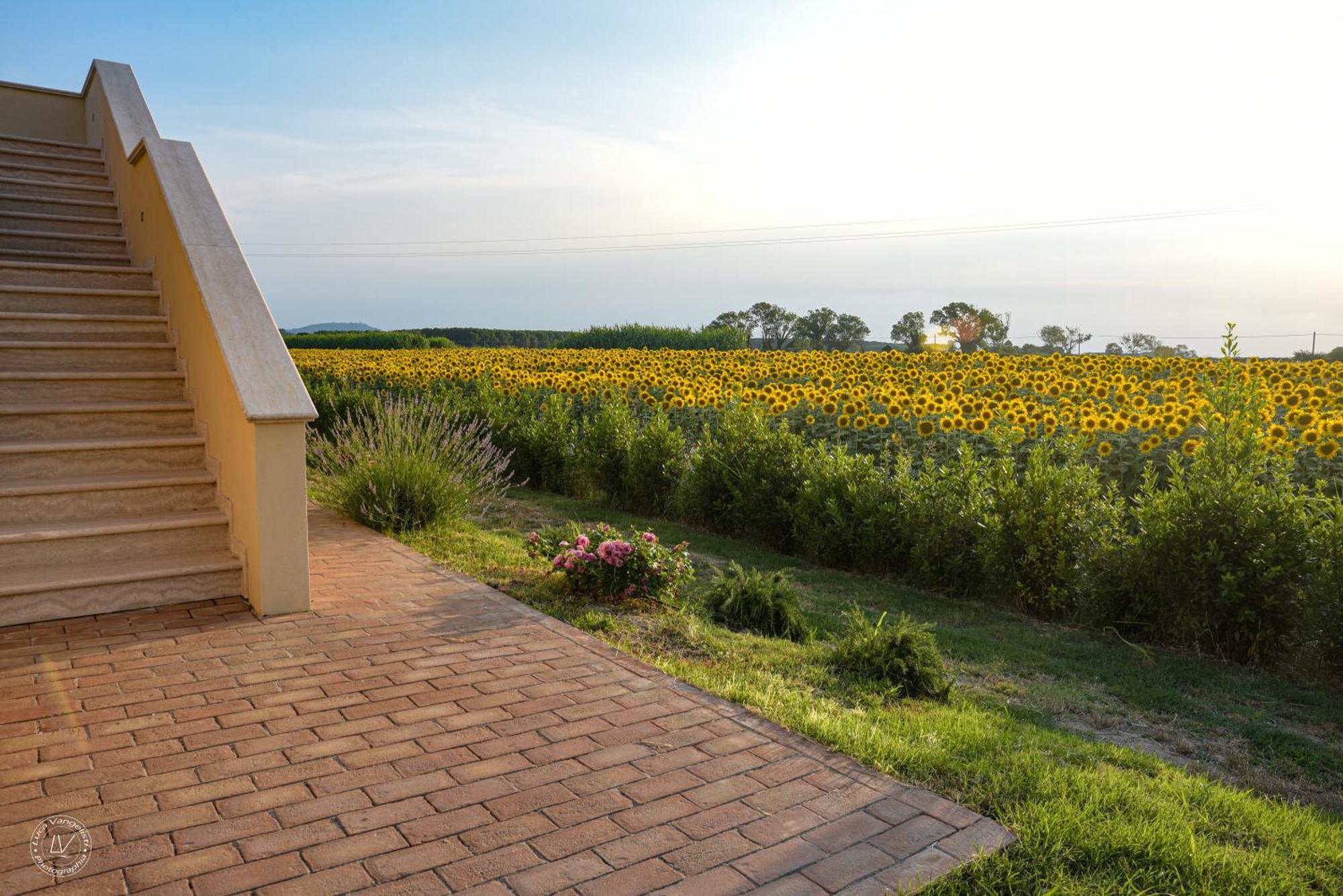 Agriturismo Villa Toscana Кампилья-Мариттима Экстерьер фото